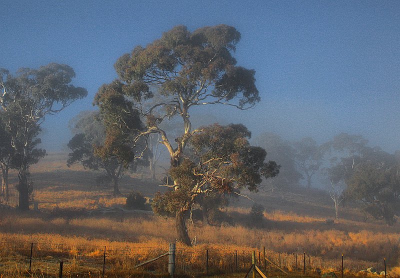 paddock hdr 3.jpg